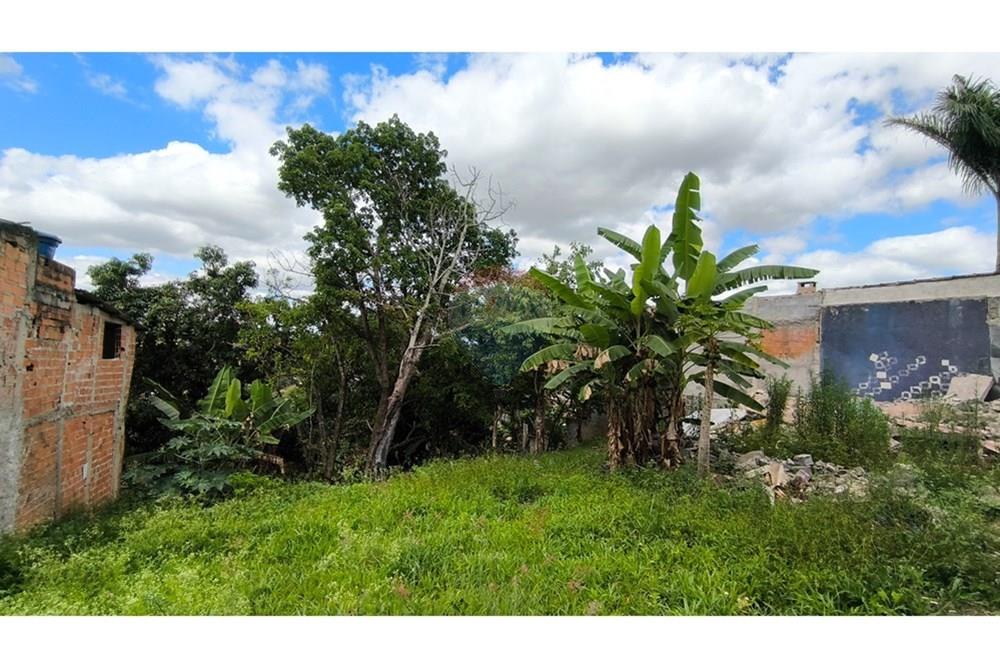 Terreno - Venda - São José dos Campos , São Paulo - IMG_20251204_140637.jpg - 631501027-1