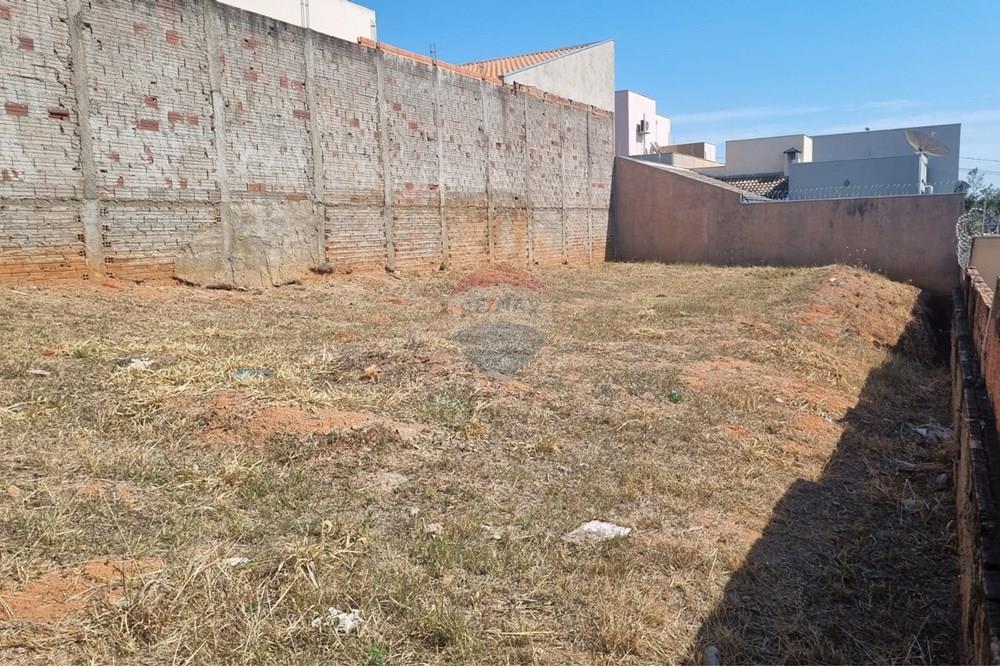 Terreno - Venda - Promissão , São Paulo - WhatsApp Image 2025-08-25 at 15.39.20 (2).jpeg - 630511034-16