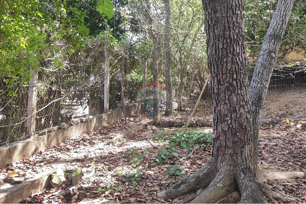 Terreno - Venda - Paraíba do Sul , Rio de Janeiro - IMG_20251106_135836.jpg - 631411001-102