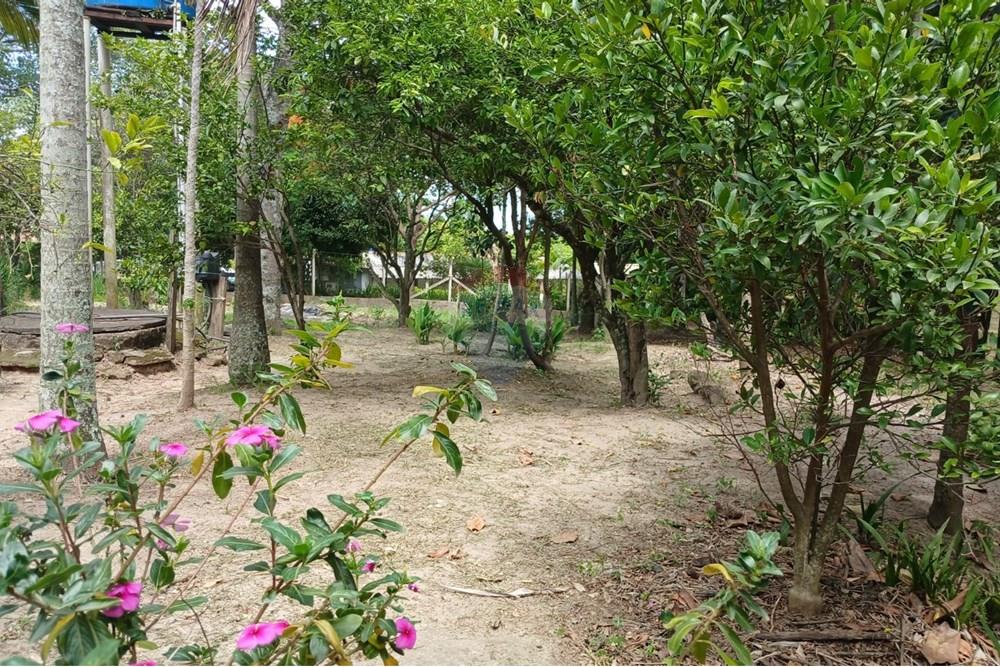 Chácara / Sítio / Fazenda - Venda - Salto de Pirapora , São Paulo - 217.jpeg - 631181053-21