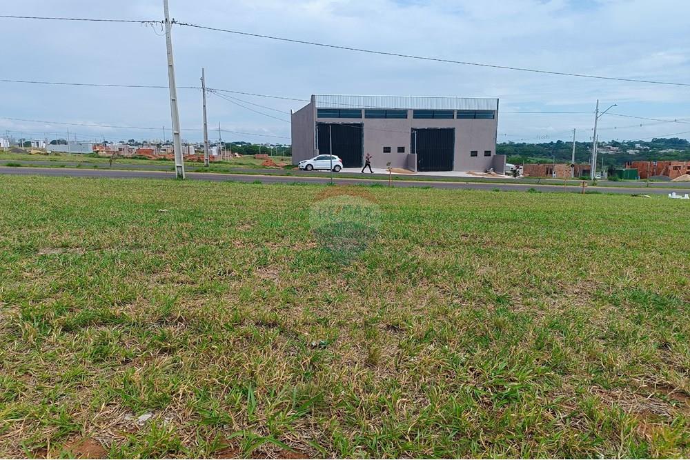 Terreno - Venda - Presidente Prudente , São Paulo - IMG_20251028_135454.jpg - 630861066-10