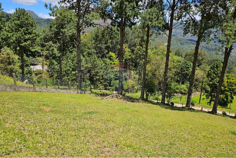 Terreno - Venda - Nova Friburgo , Rio de Janeiro - 20251111_104015.jpg - 630551024-83