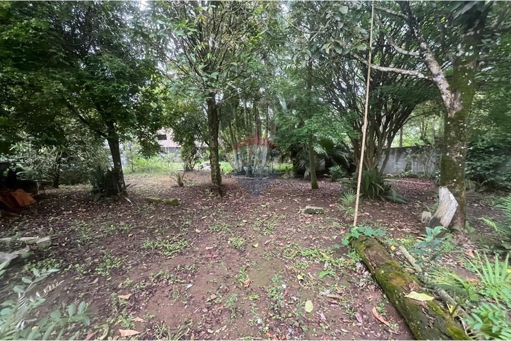 Chácara / Sítio / Fazenda - Venda - Mauá , São Paulo - WhatsApp Image 2025-10-31 at 12.07.15 (1).jpeg - 630751062-4