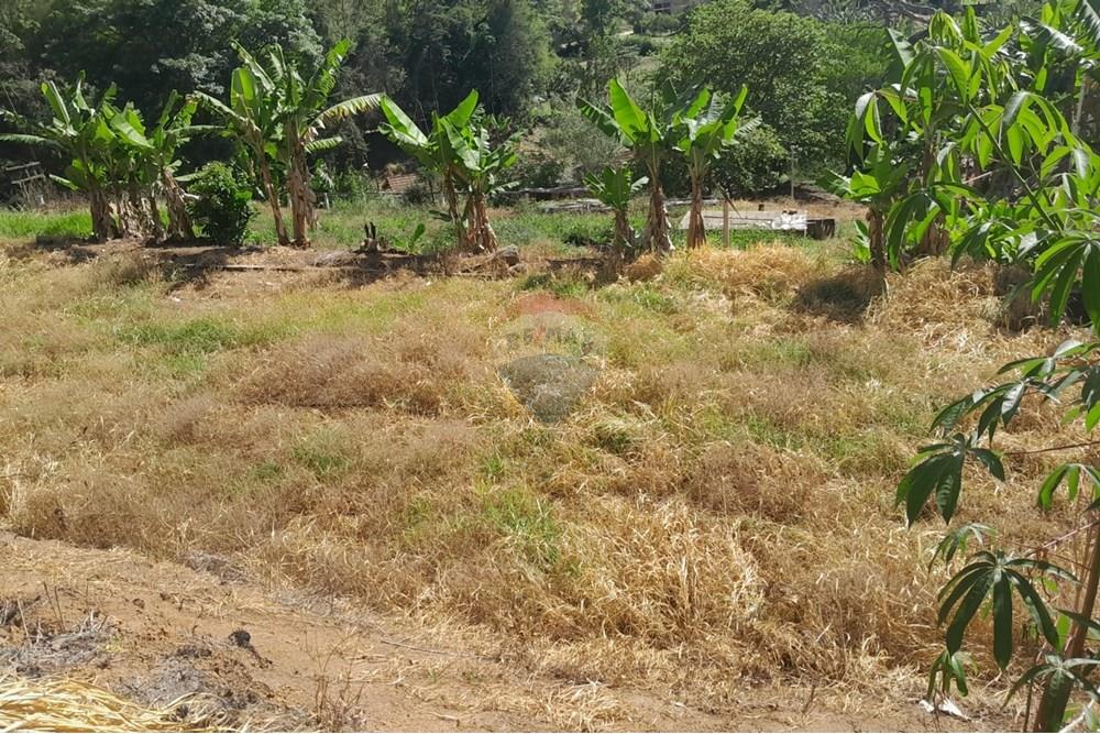 Chácara / Sítio / Fazenda - Venda - Bom Jardim , Rio de Janeiro - WhatsApp Image 2025-12-01 at 11.04.53 (1).jpeg - 630171007-63