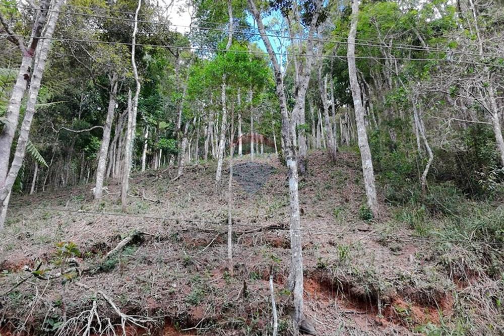Terreno - Venda - Teresópolis , Rio de Janeiro - DJI_20251223091352_0223_D.JPG - 630191109-14