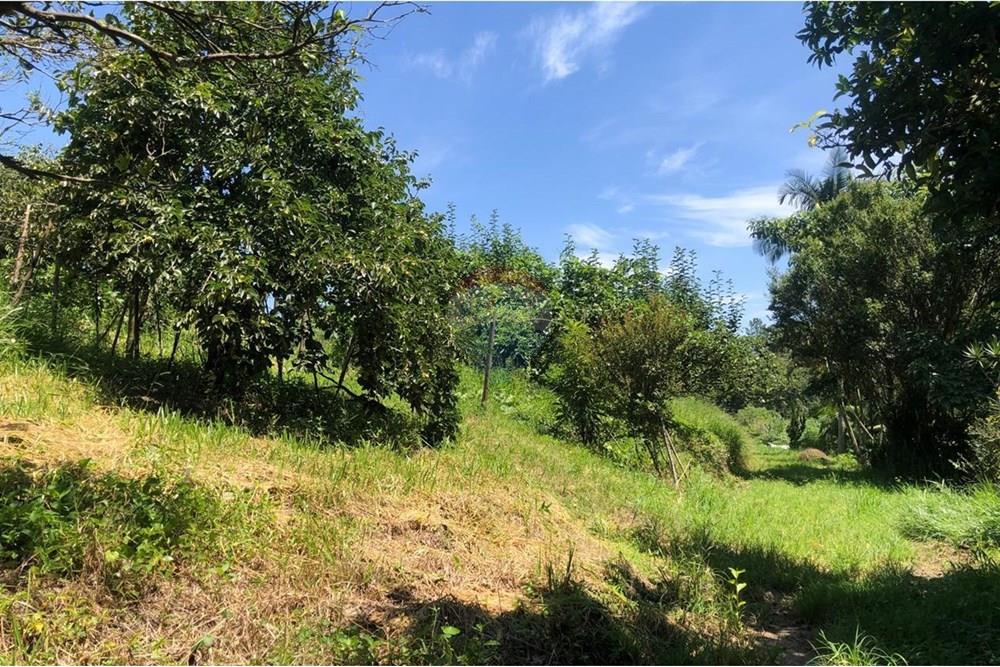 Chácara / Sítio / Fazenda - Venda - Santa Isabel , São Paulo - WhatsApp Image 2025-02-20 at 14.04.34 (11).jpeg - 631491020-25