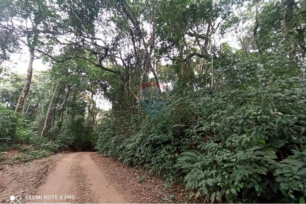 Terreno - Venda - Mairiporã , São Paulo - WhatsApp Image 2025-07-28 at 23.50.16 (1).jpeg - 631361025-37