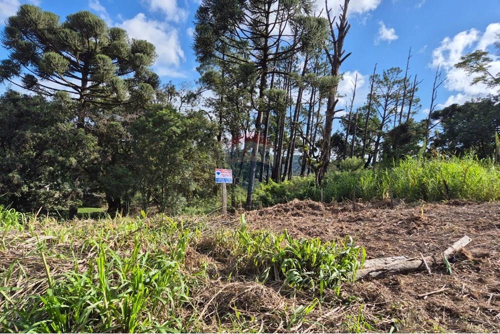 Terreno - Venda - Apiaí , São Paulo - WhatsApp Image 2025-06-05 at 14.41.06 (1).jpeg - 630241006-11