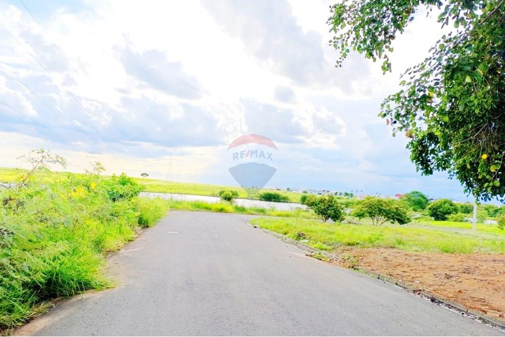 Terreno - Venda - Penápolis , São Paulo - WhatsApp Image 2025-03-15 at 10.21.45.jpeg - 631191013-102