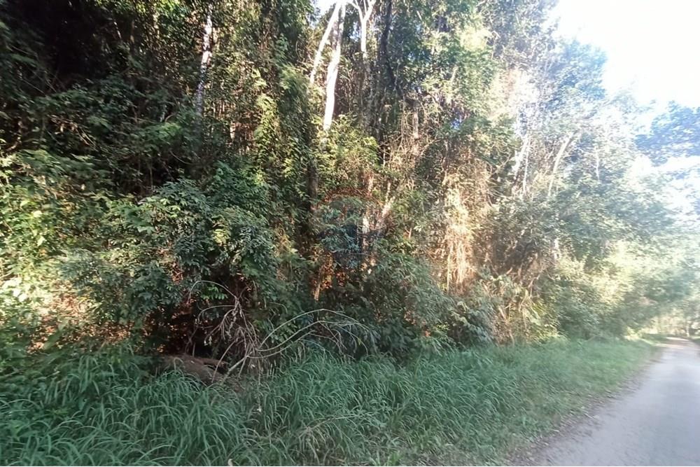 Terreno - Venda - Mairiporã , São Paulo - WhatsApp Image 2025-08-22 at 23.52.32.jpeg - 631361025-40