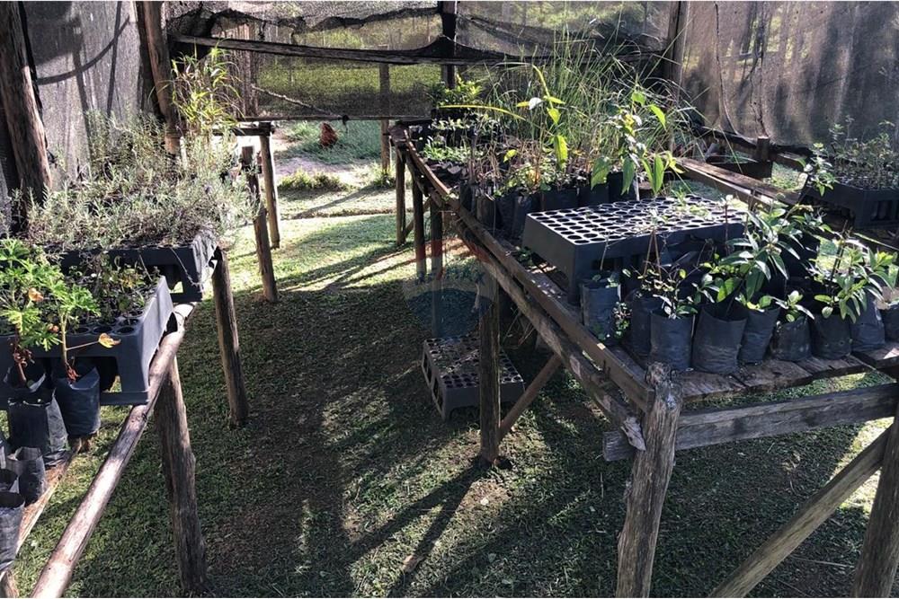 Chácara / Sítio / Fazenda - Venda - Monteiro Lobato , São Paulo - IMG-20240726-WA0119.jpg - 631431003-134