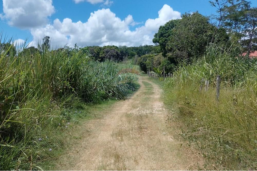 Terreno - Venda - Paraíba do Sul , Rio de Janeiro - IMG_20250225_111710_HDR.jpg - 631411001-104