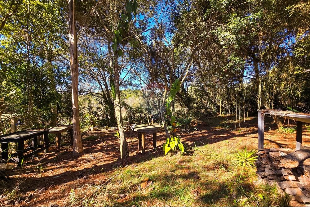 Chácara / Sítio / Fazenda - Venda - Pardinho , São Paulo - 6-20250730_145832.jpg - 630481103-147