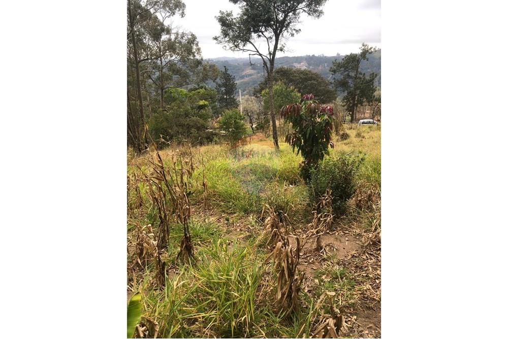 Terreno - Venda - Mairiporã , São Paulo - WhatsApp Image 2025-09-17 at 15.06.10.jpeg - 631361059-4