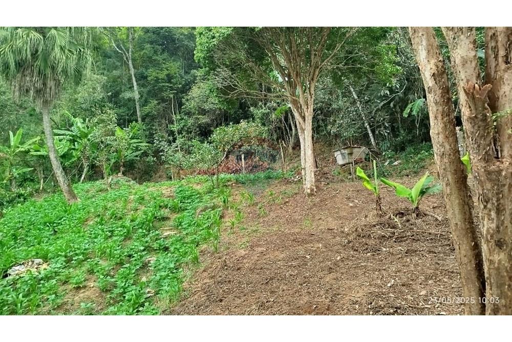 Terreno - Venda - Petrópolis , Rio de Janeiro - WhatsApp Image 2025-05-26 at 12.02.30 (3).jpeg - 630131076-3