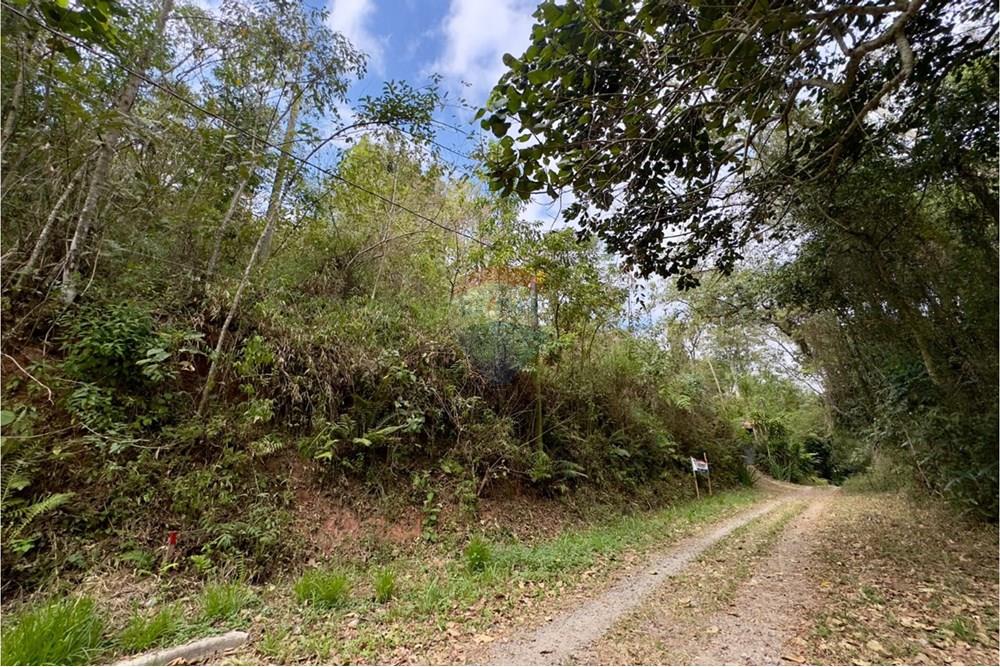 Terreno - Venda - Mairiporã , São Paulo - WhatsApp Image 2025-10-16 at 12.26.12.jpeg - 631361025-34