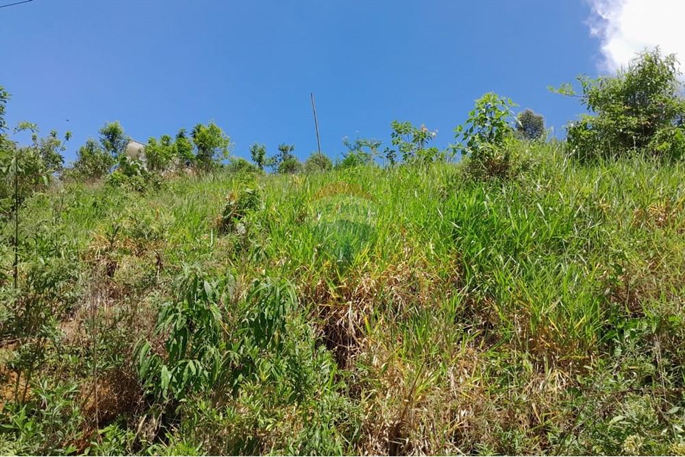 Terreno - Venda - Bom Jardim , Rio de Janeiro - WhatsApp Image 2025-01-10 at 10.03.55 (3).jpeg - 630171008-29