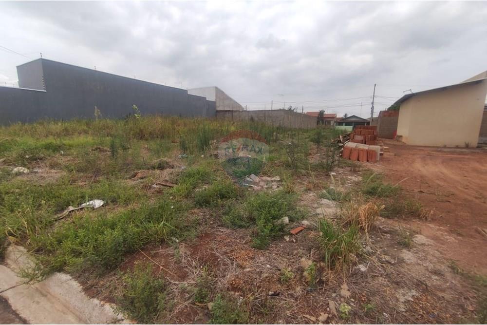 Terreno - Venda - Andradina , São Paulo - WhatsApp Image 2025-10-15 at 14.23.05 (3).jpeg - 631201044-306