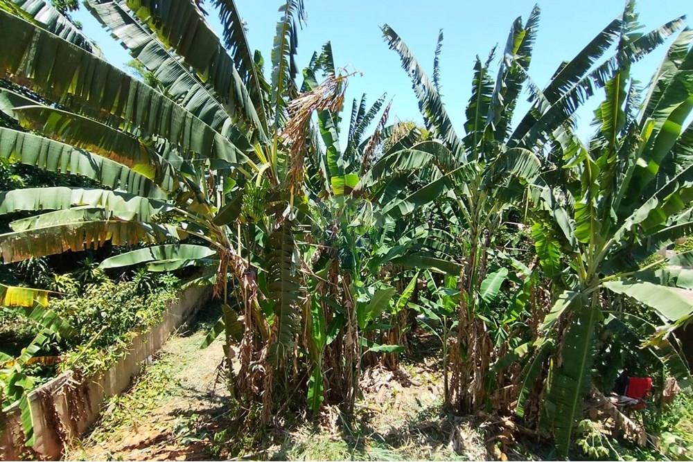 Terreno - Venda - Nova Iguaçu , Rio de Janeiro - WhatsApp Image 2025-12-29 at 16.27.41.jpeg - 630291063-35