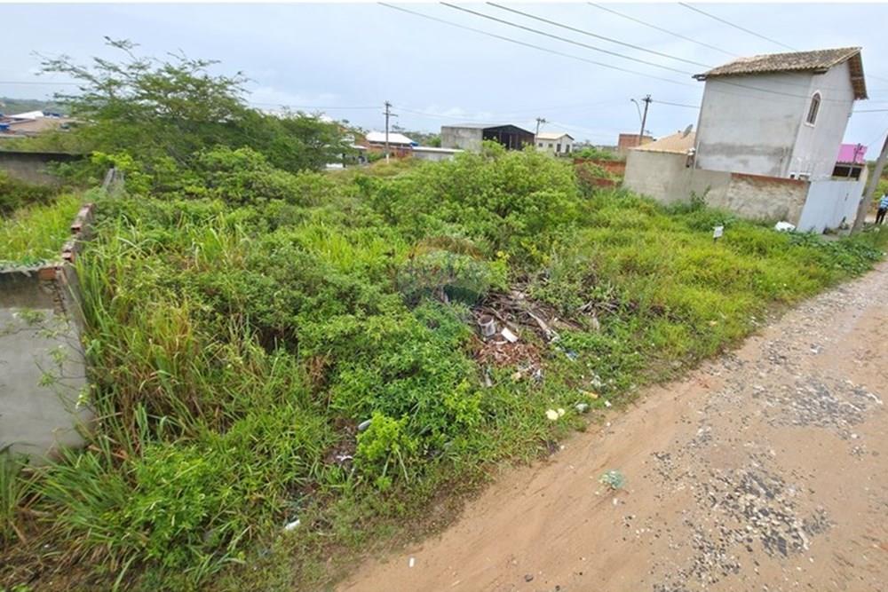 Terreno - Venda - Cabo Frio , Rio de Janeiro - 20260122_121723 (1).jpg - 631551041-6