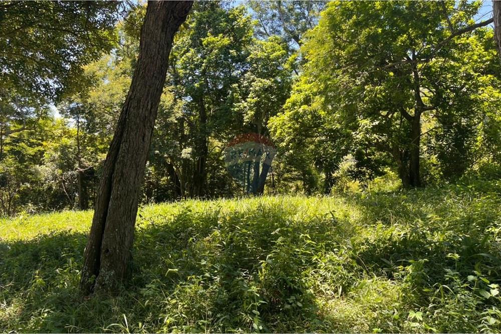 Terreno - Venda - Mogi das Cruzes , São Paulo - WhatsApp Image 2026-02-24 at 13.21.41.jpeg - 631251058-2