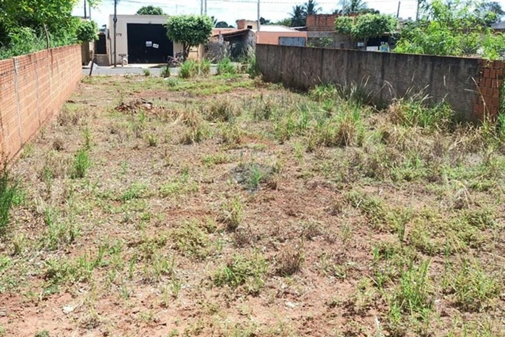 Terreno - Venda - Andradina , São Paulo - WhatsApp Image 2026-03-25 at 15.29.32.jpeg - 631201090-1