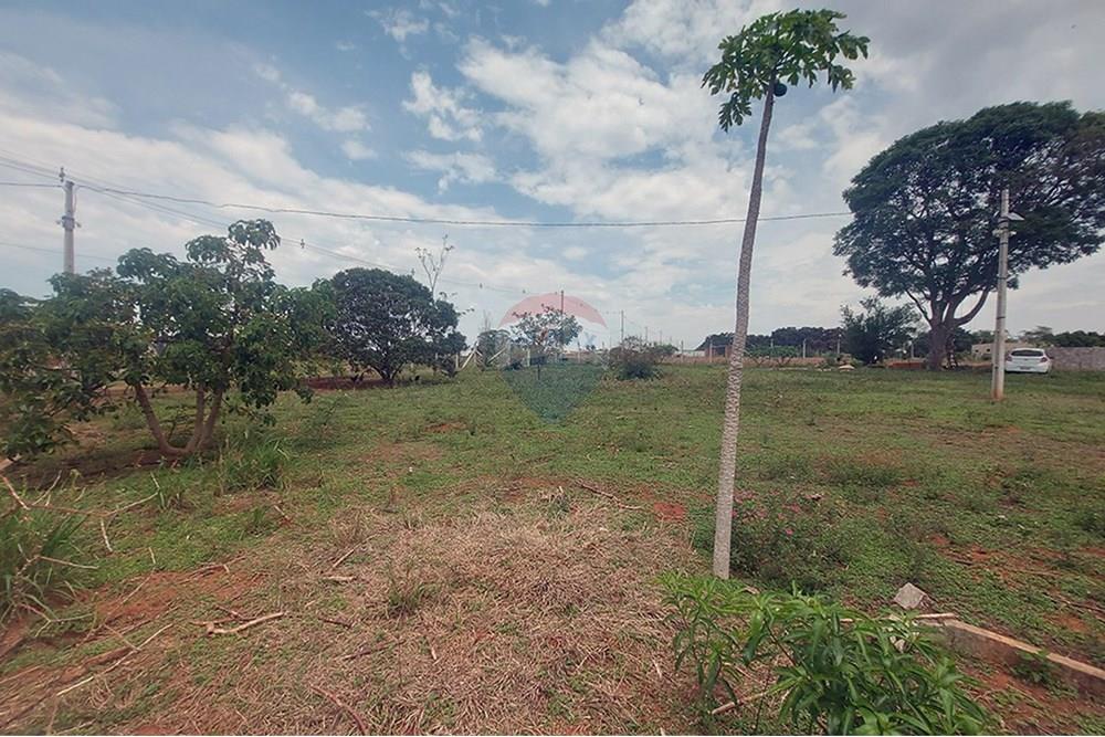 Chácara / Sítio / Fazenda - Venda - Taciba , São Paulo - Chacara Taciba (19).jpg - 630861066-19