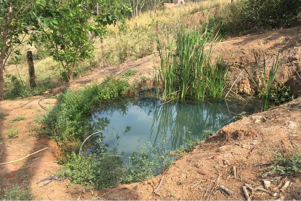 Terreno - Venda - Cafelândia , São Paulo - WhatsApp Image 2025-07-07 at 12.47.31.jpeg - 631011016-72