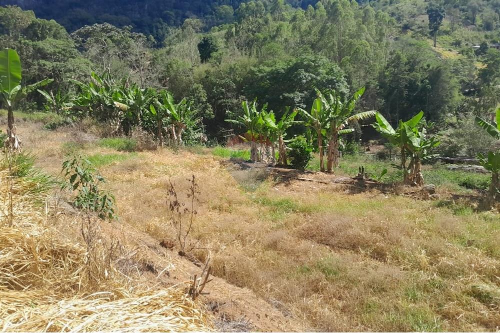 Chácara / Sítio / Fazenda - Venda - Bom Jardim , Rio de Janeiro - WhatsApp Image 2025-12-01 at 11.04.53.jpeg - 630171007-63