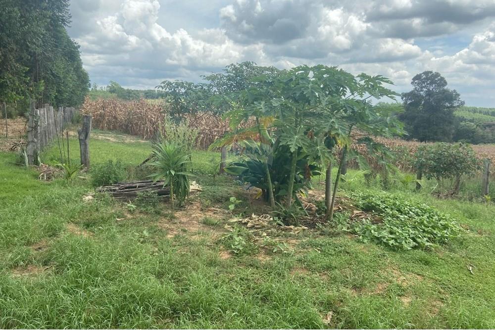 Chácara / Sítio / Fazenda - Alugar - Salto de Pirapora , São Paulo - WhatsApp Image 2025-03-05 at 14.26.17 (1).jpeg - 631181025-207