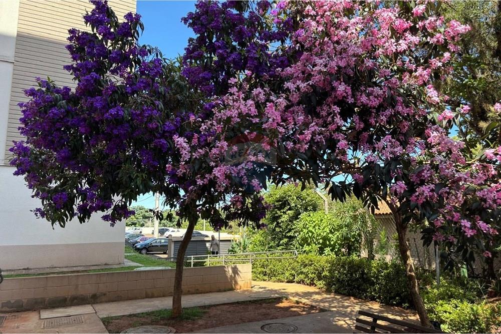 Apartamento - Venda - Botucatu , São Paulo - WhatsApp Image 2026-01-23 at 08.40.32 (23).jpeg - 630111036-37