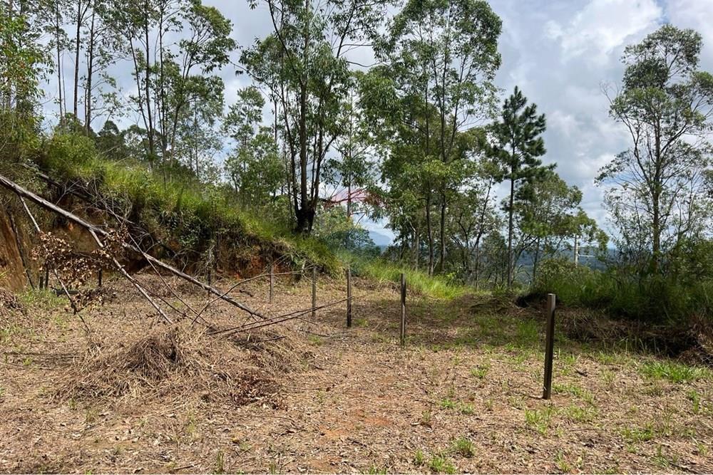 Terreno - Venda - Mairiporã , São Paulo - WhatsApp Image 2026-02-09 at 16.34.38 (1).jpeg - 631361077-14