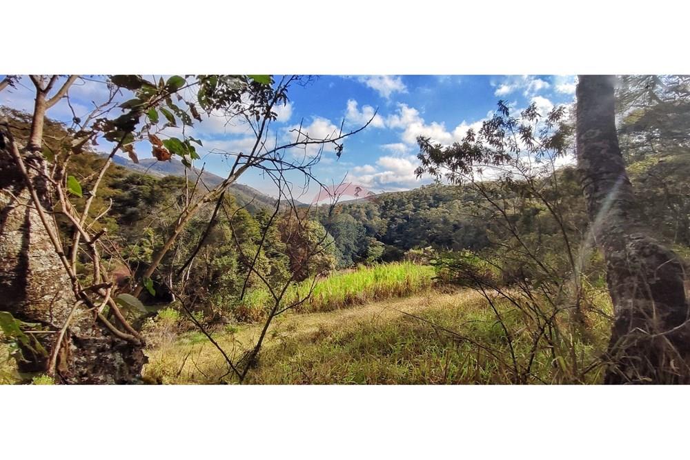 Terreno - Venda - Petrópolis , Rio de Janeiro - IMG_20250814_092003.jpg - 630131061-30