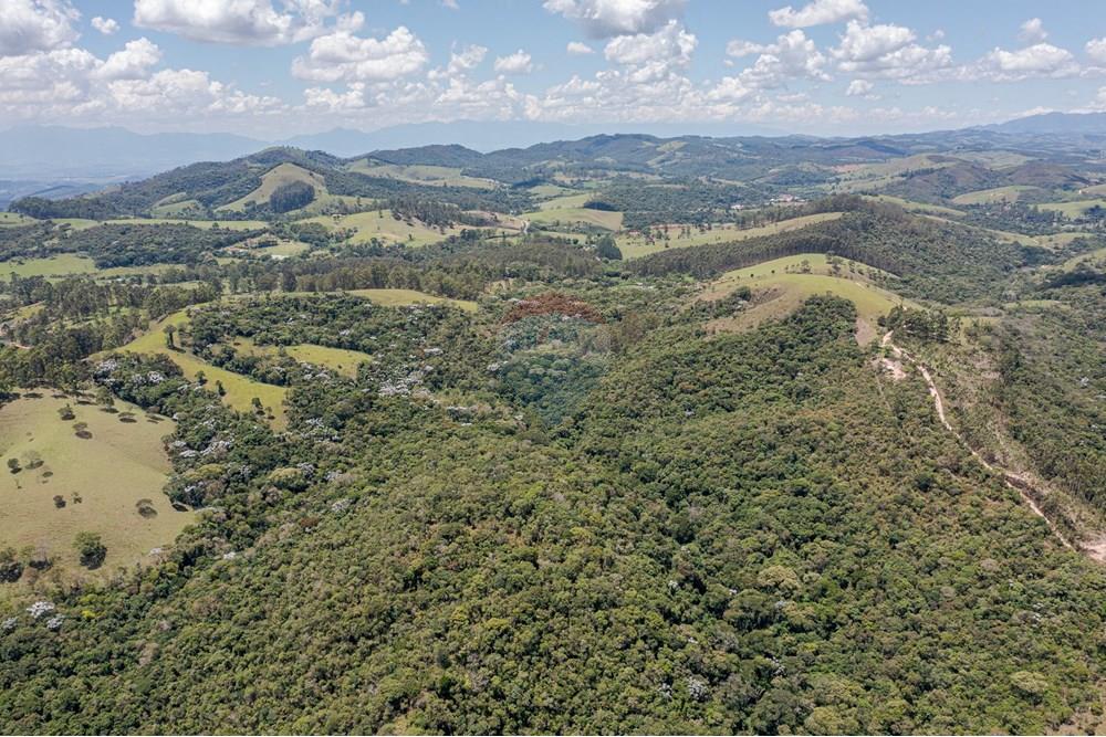 Chácara / Sítio / Fazenda - Venda - Guaratinguetá , São Paulo - FazendaITAJIBA-23.jpg - 630961014-63