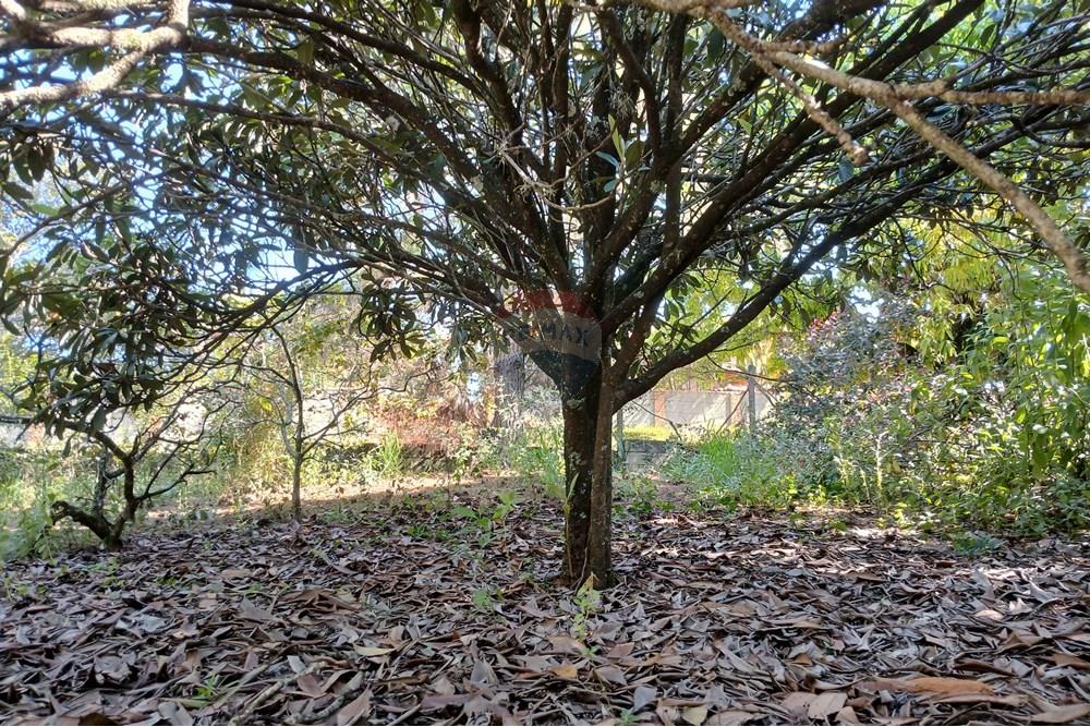 Terreno - Venda - Salto de Pirapora , São Paulo - 20250306_152123.jpg - 631181028-68