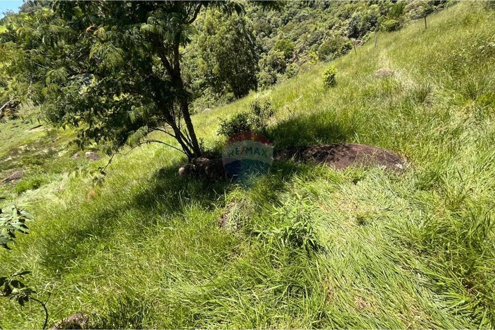 Terreno - Venda - Mogi das Cruzes , São Paulo - WhatsApp Image 2026-02-24 at 13.22.149.jpeg - 631251058-2