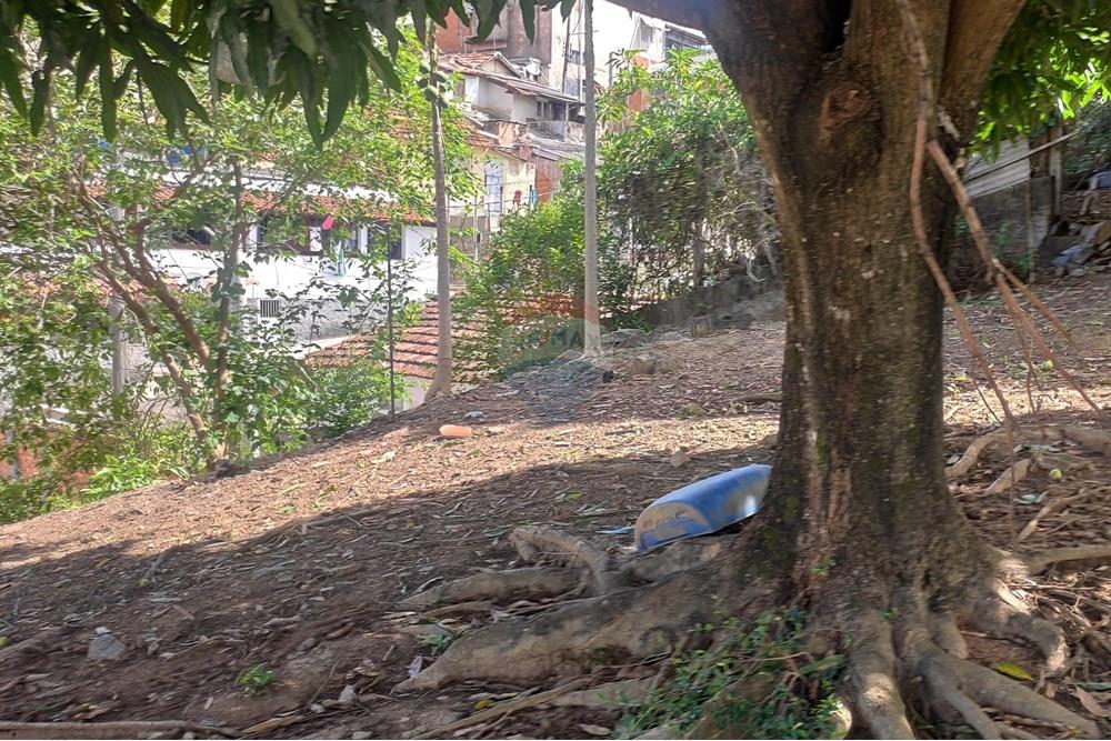 Terreno - Venda - Paraíba do Sul , Rio de Janeiro - IMG_20251106_135725.jpg - 631411001-102