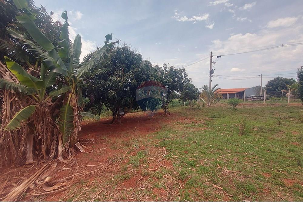 Chácara / Sítio / Fazenda - Venda - Taciba , São Paulo - Chacara Taciba (12).jpg - 630861066-19