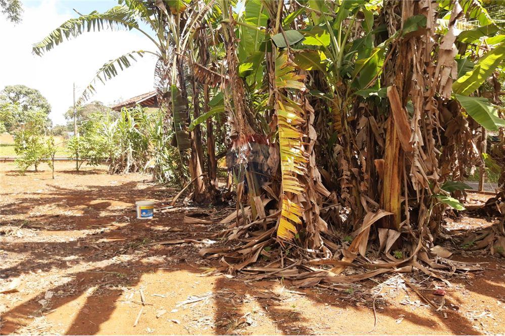 Fazenda à venda com 7 quartos, 400m² - Foto 60