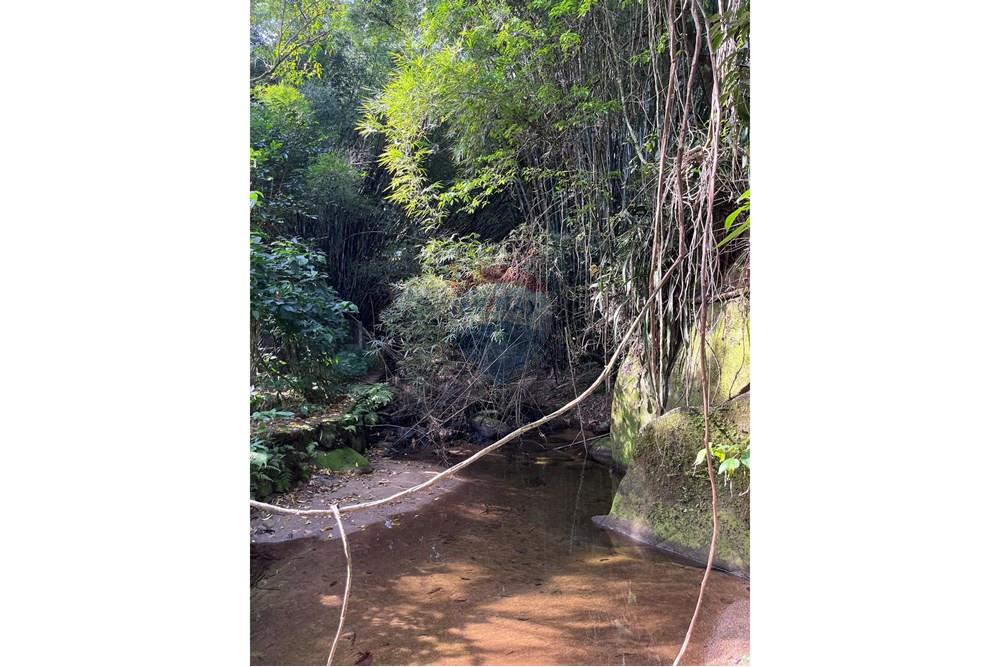 Casa - Venda - Ilhabela , São Paulo - WhatsApp Image 2025-07-31 at 16.07.11 (1).jpeg - 690881023-50