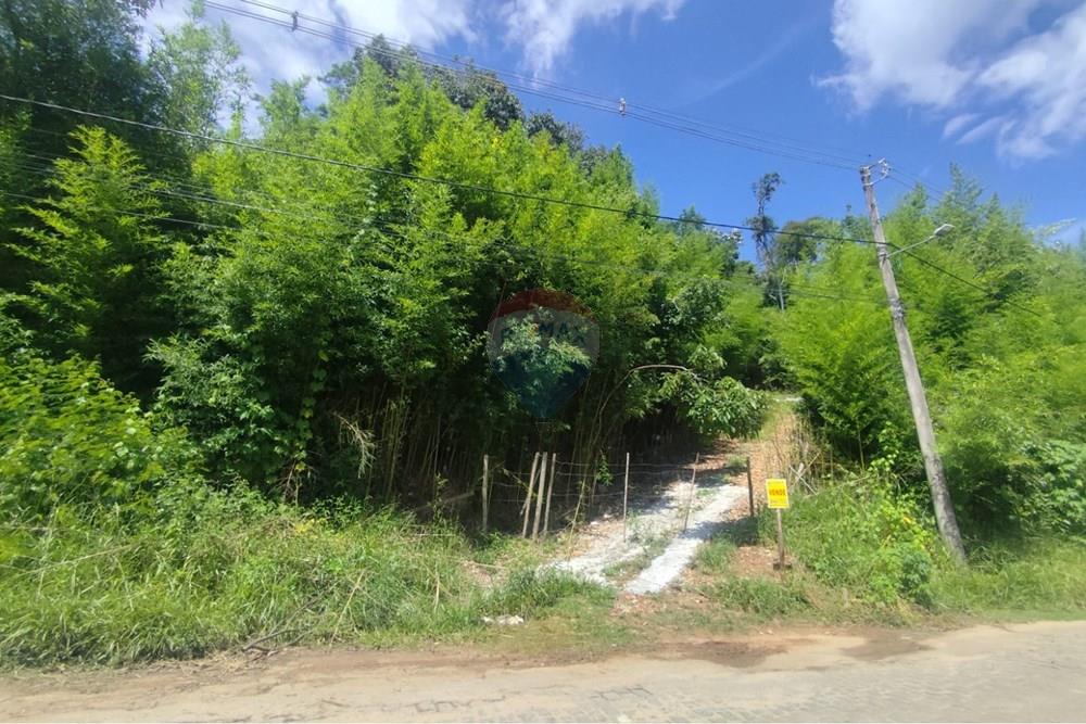 Terreno - Venda - Teresópolis , Rio de Janeiro - WhatsApp Image 2026-02-05 at 09.36.11.jpeg - 630191021-147