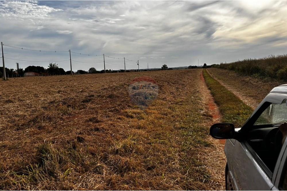 Terreno - Venda - Pereira Barreto , São Paulo - WhatsApp Image 2025-07-10 at 08.47.05 (2).jpeg - 631201049-47