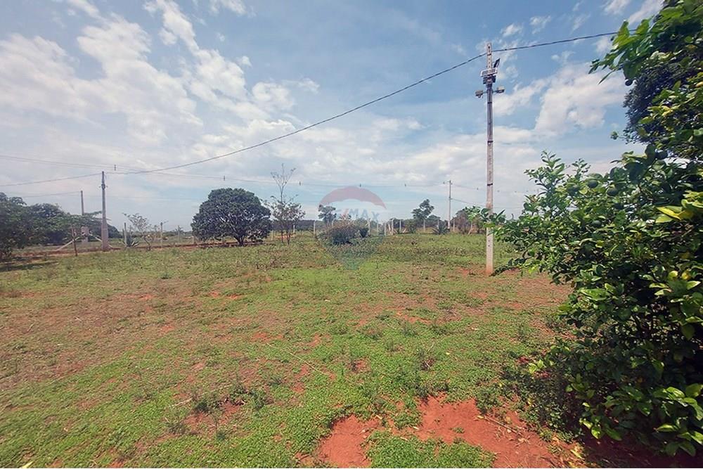 Chácara / Sítio / Fazenda - Venda - Taciba , São Paulo - Chacara Taciba (6).jpg - 630861066-19