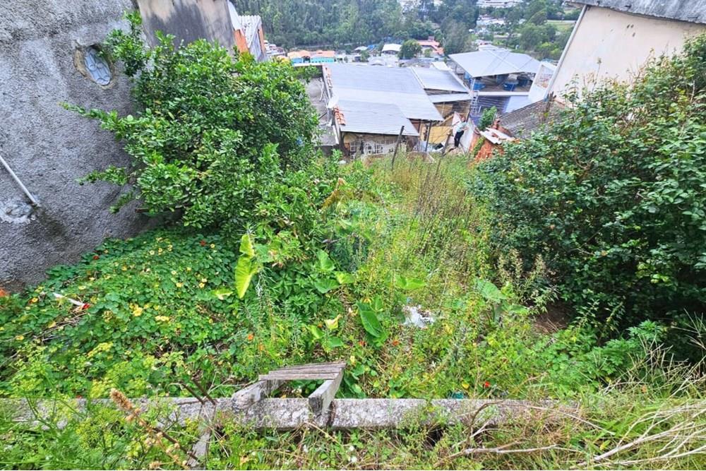 Apartamento - Venda - Nova Friburgo , Rio de Janeiro - Cópia de Terreno Medindo 503m² (96).jpg - 631671001-17