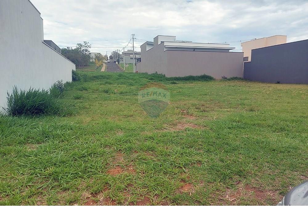 Terreno - Venda - Álvares Machado , São Paulo - 20251028_124006.jpg - 630861066-9