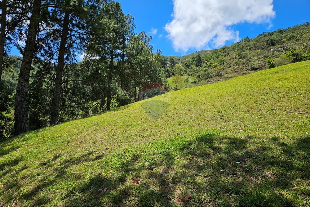 Terreno - Venda - Nova Friburgo , Rio de Janeiro - 20251111_103817.jpg - 630551024-83