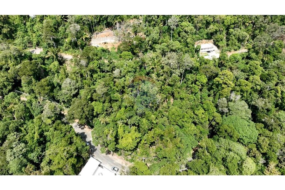 Terreno - Venda - Ilhabela , São Paulo - DJI_0825.00_01_53_13.Quadro006.jpg - 630951011-33