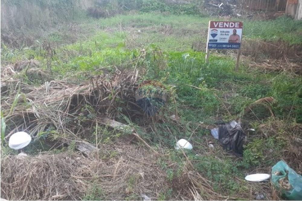 Terreno - Venda - São José do Rio Preto , São Paulo - chrome_awkvbRmV82.jpeg - 631321001-116