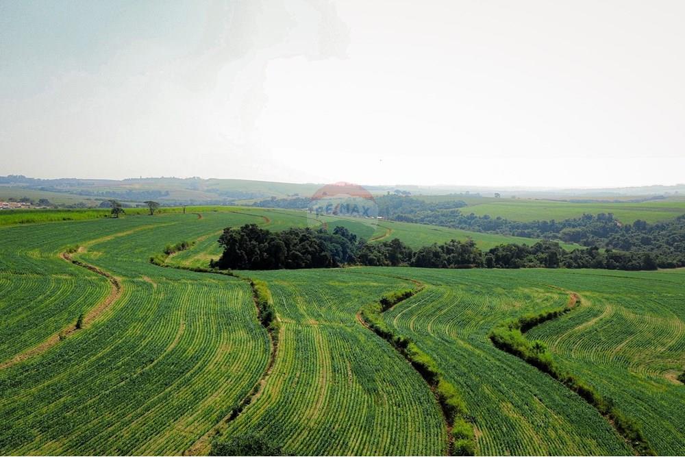 Terreno - Venda - Boituva , São Paulo - Loteamento - Boituva - 2.jpg - 630601137-110