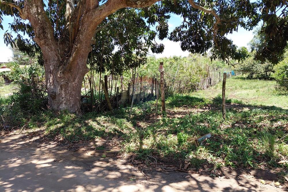 Terreno - Venda - Armação dos Búzios , Rio de Janeiro - 20251211_110719.jpg - 630391071-22